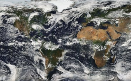 Climate Emergency in 2025: What the Latest Data Reveals