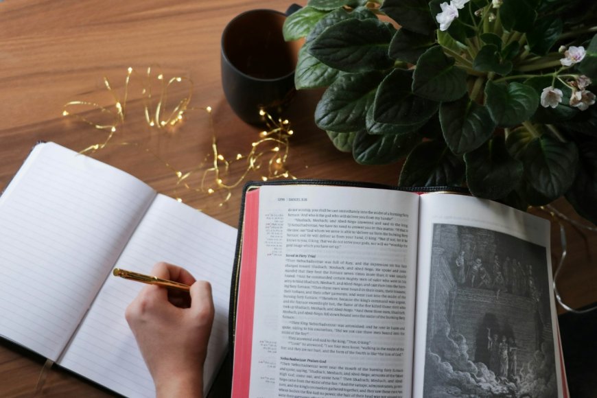 Top Study Tips & Exam Strategies for Academic Success
