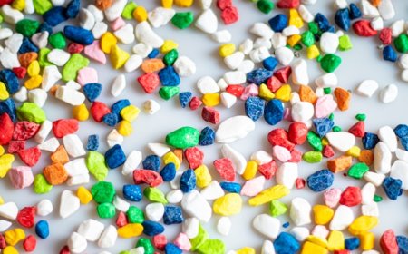 Microplastics in the Food Chain: A Silent Environmental Crisis