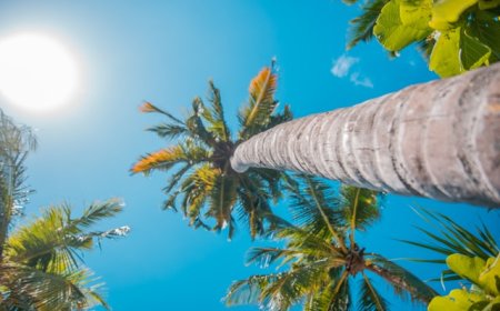 Why Summers Are Getting Hotter Every Year | Climate Change Explained