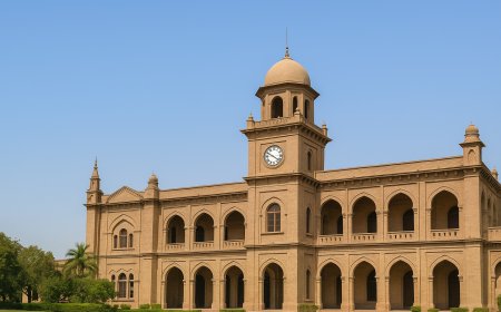 Punjab Universities See 30% Drop in Admissions 2025