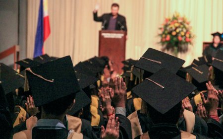 Punjab Launches Full Tuition Scholarship for Undergraduate Students