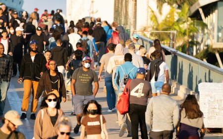 Global Migration 2025: New Routes and Border Challenges